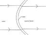 fig2.gif
