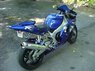 Yamaha R1_3.JPG