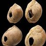 BlombosCaveshells2.jpg