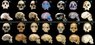 hominids3.jpg