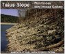 talus.jpg