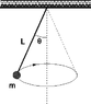 prob33_flymass.gif