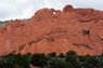 kissing camels.jpg