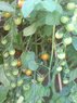 DSC01032.jpg