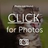 img7746wp9.jpg