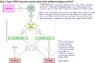 BellState.2PDCCrystalsNotInSeries.jpg