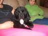birthday and puppy october 08 041.JPG