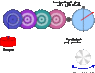 clock-weight-train.gif