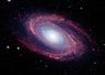 Spitzer_M81[1].jpg