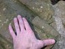 DSCN1876.jpg