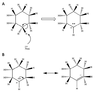 cyclohexene.png