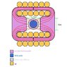 coil flux ratiorew copy.jpg