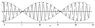 Image3229.gif