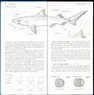 bk FieldGuide2Fishes   023.jpg