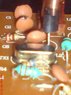 DSC00844.jpg