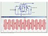 Multipler1.jpg