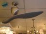 PF20100203fan.jpg