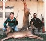 deerhunters.jpg