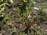 2010-05-13 14.04.26.jpg