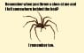 spider-memory-500x318.jpg