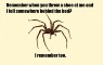 spider-memory-500x318-jpg.jpg