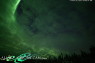 Live_10202017042321-XL.jpg