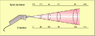 radiant flux.png