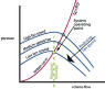 fig-6.png