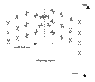 lightcone-bh.gif