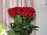 roses.JPG