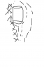 d.png