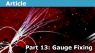 qft_gauge.png