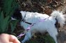 DSC_0930.JPG