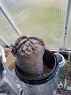415131373-thumb_20171223_154857.jpg