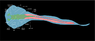 tedpole embryo3.png