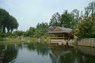 Japaneese Garden in Hasselt.jpg