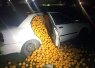 180131-world-oranges-spain-1050_1b343497df034be03d8e99448f39ad6a.jpg