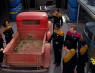 the37s.jpg