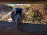 IMG_20160819_154937-1.jpg