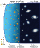 evol.gif