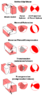 focalmechs.png