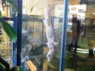 DSCN3235.JPG