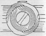 220px-Dynamo_-_exaggerated_rotating_field_distortion.png