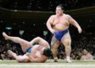 Sumo.jpg