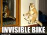 amazing-unamused-meme-cats-invisible-bike-unamused-meme.jpg