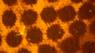_100423734_2b6578e0-430a-417b-bc15-1337b51b9d75.jpg