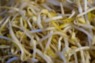 mung-beans-1705174_1280.jpg