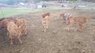 20180406_105123.jpg