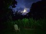 IMG_20160916_183558.jpg