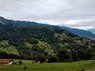 IMG_20170727_092138.jpg